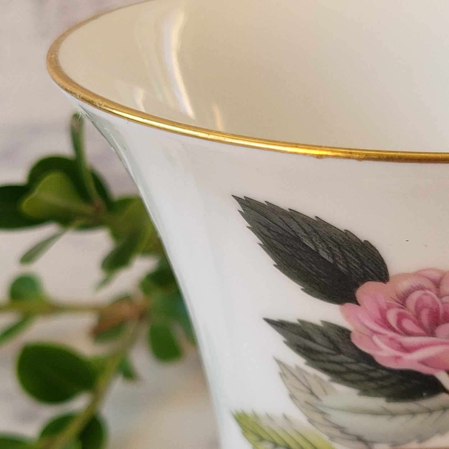 Adorable Wedgwood Hathaway Rose Vase