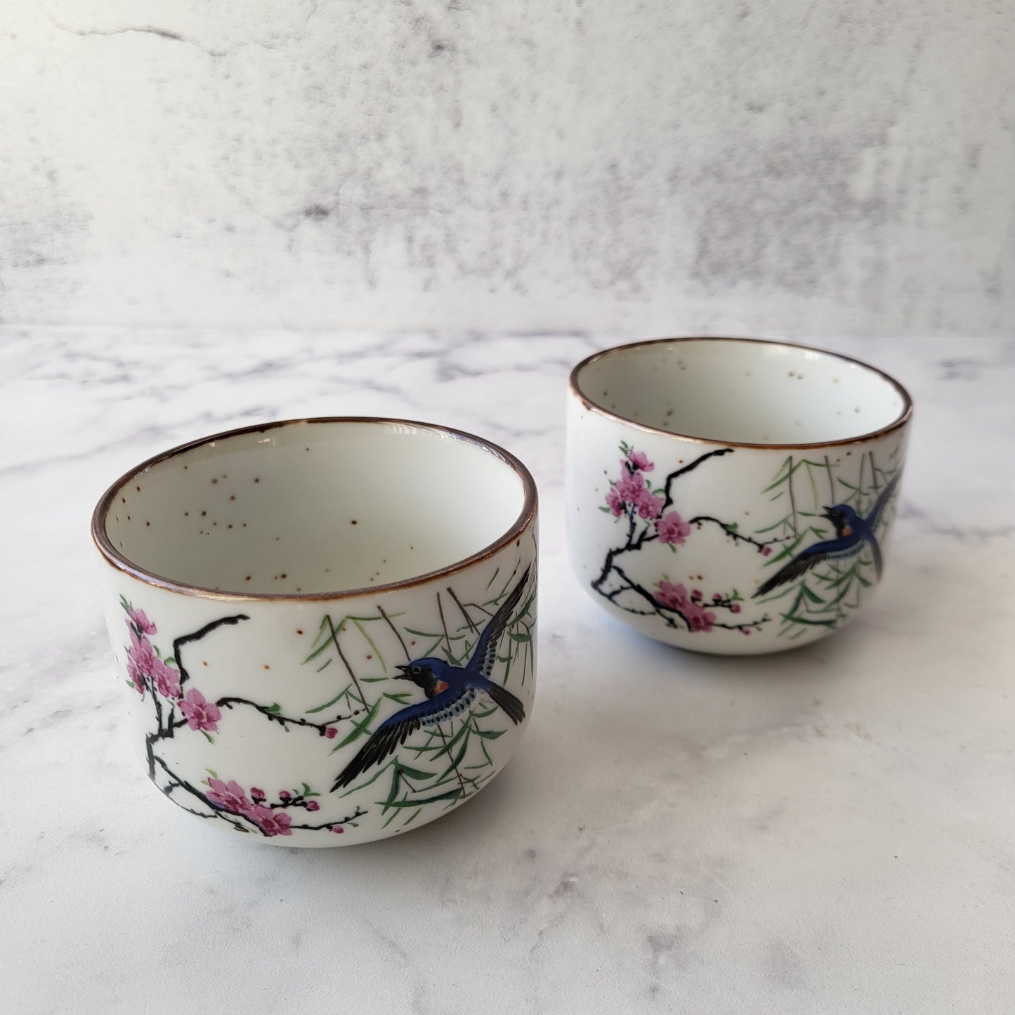 Asahi Japanese Tea Cups (Set of 2)